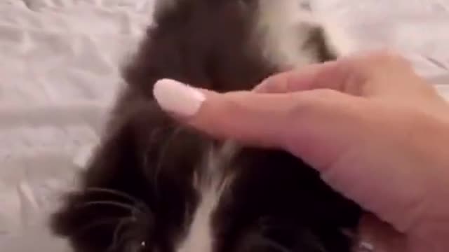 Bossi loves mother