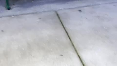 Loving her freedom