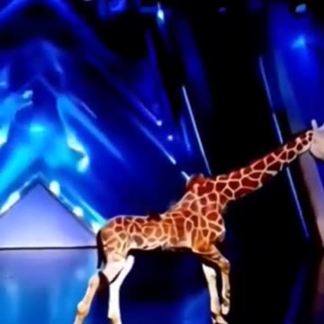 America's Got Talent Giraffe 🦒Magic😱😱