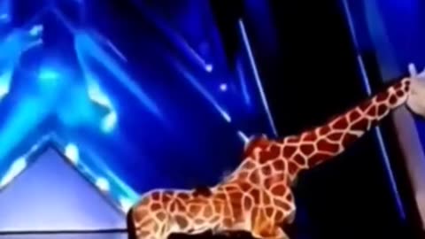 America's Got Talent Giraffe 🦒Magic😱😱