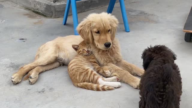 I want a couple of good friends like that