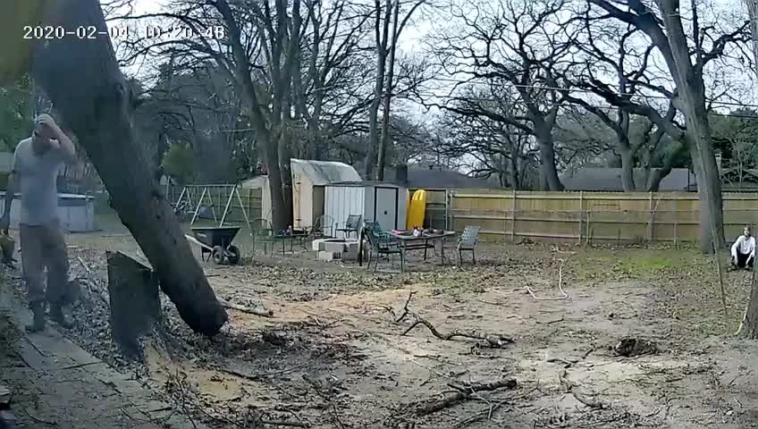 Tree Falls on House in Felling Fail