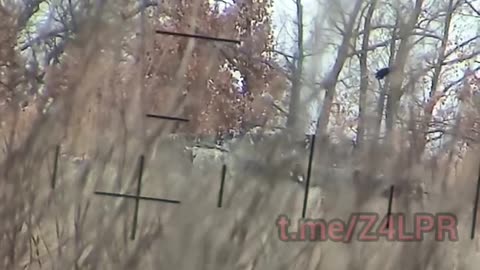 Ukraine War - Work of DPR sniper