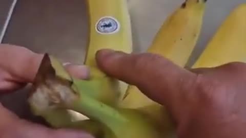 ŻABA na bananach z mRNA