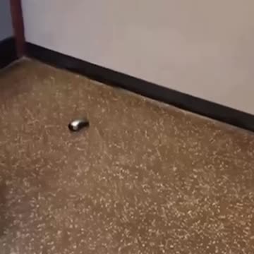 PRANKING #shorts #42 #funnyvideos #failcompilation #fail #pranking #fails #failclips #funnyclips