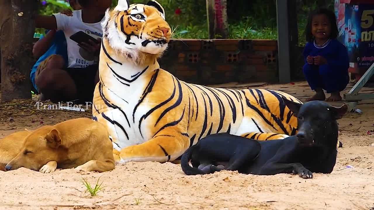 Fake tiger prank unlimited funny