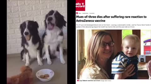 Vaccini, forse con il buon esempio lo capite....O no?