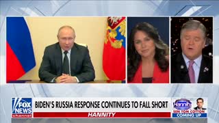 'You're Ducking': Sean Hannity Spars With Tulsi Gabbard Over Assisting Ukraine