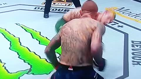 UFC fight