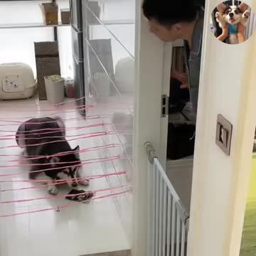 You are very good! 😠😠😠