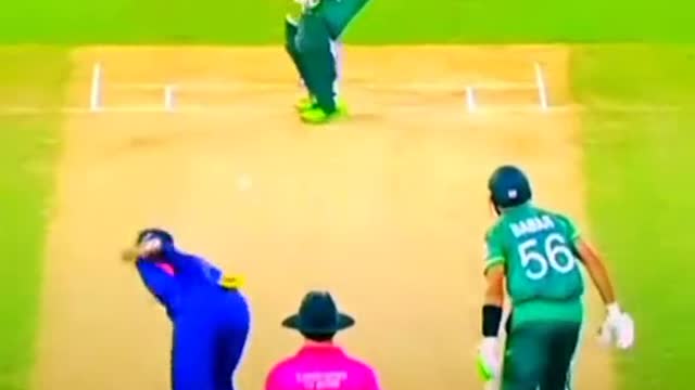 fans-video cricket lovers-video #cricket #cricketlover