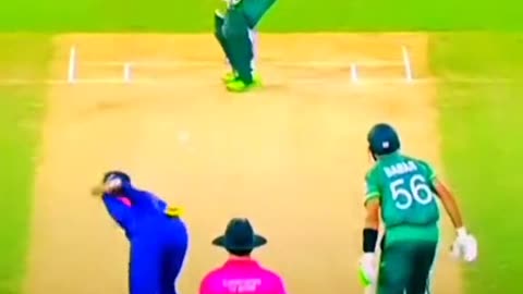 fans-video cricket lovers-video #cricket #cricketlover