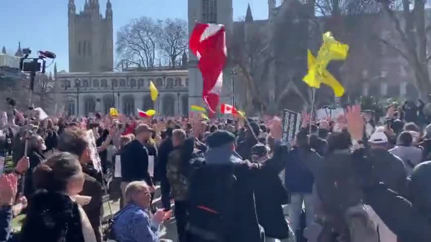 Central London protest against covid tyranny, flags of other countries in the same fight flown,.