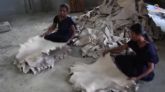 Amazing Process of Processing Cowhide Leather Into Fashion Accessory