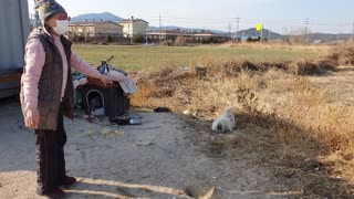 The dog was excited when the owner visited him on a Sunday