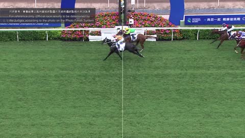 Horse_Race_2022052201_English