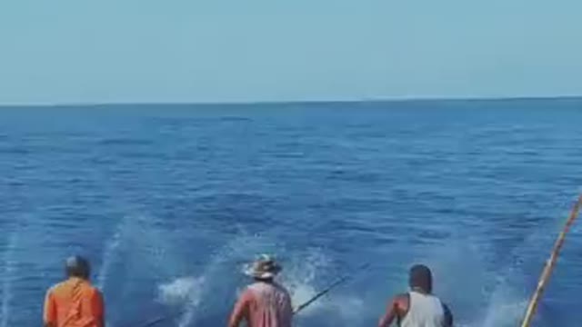 Amazing Technique For Massive Fishing