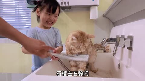 The cat who rubbed water was finally washed by the little master