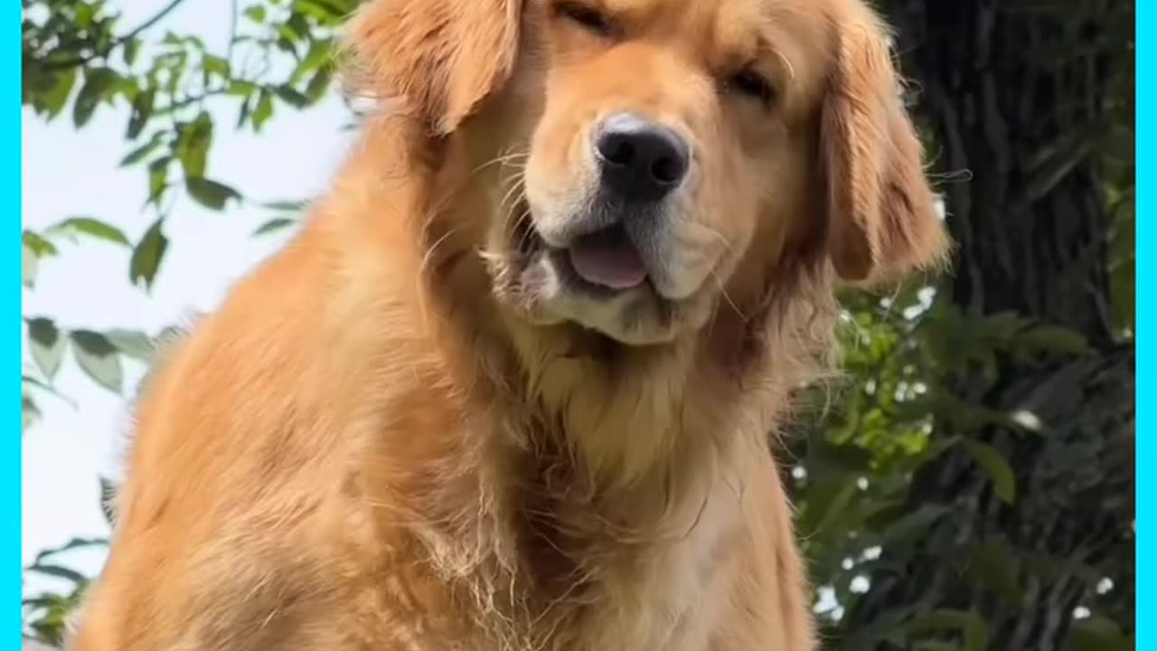 मैं क्यों गिरु गिरे मेरे दुश्मन बै