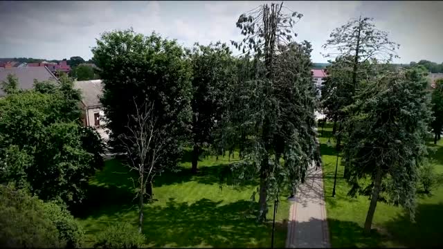 Powrót do Jedwabnego