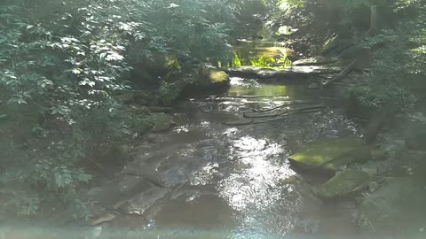 Down river of large waterfall