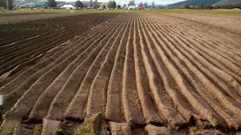 Some Ploughing Plots