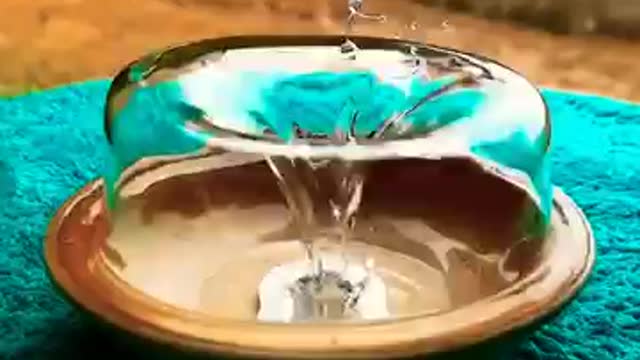 😮_New_Trending_Reels_😍_Viral_Trend_Song_New_Song_😮😮😮__#viralVideos_#shubhamhauntedvlogs