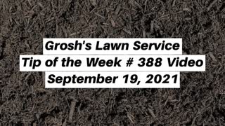 Bark Mulch Hagerstown MD Landscaping Contractor