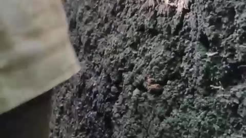 Ruští kozáci ze sibiřského oddílu zadržují nápor ukrajinců poblíž Soledaru