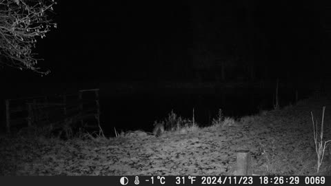 Teich 231124