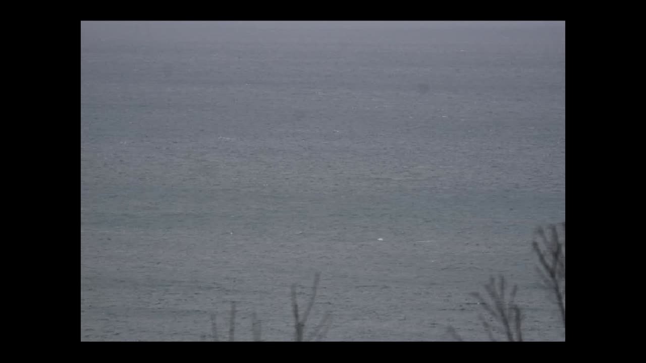 Brixham view from near Berryhead lime bay - 05-02-24