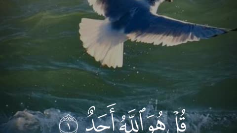 Islamic video