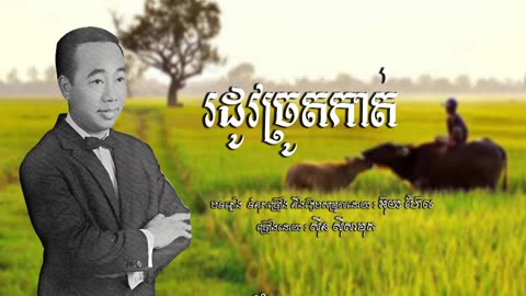 រដូវច្រូតកាត់ សុីន សុីសាមុត