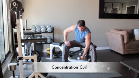 ARMS concentration curl