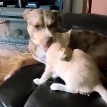 This is true love 💕💕💕