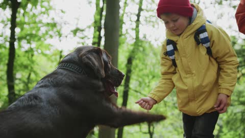 The kid gave the dog something to eat