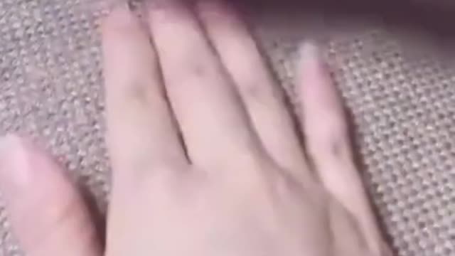 Dog Playing With Owner's Hand