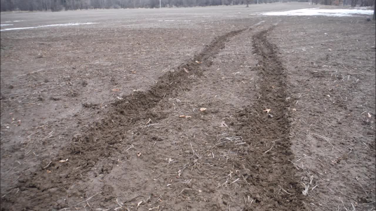 They Didn't Shoot All The Bucks!