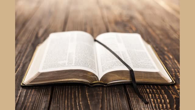 Ci sono errori nella Bibbia?