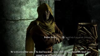 Skyrim is Perfect and has no Bugs again