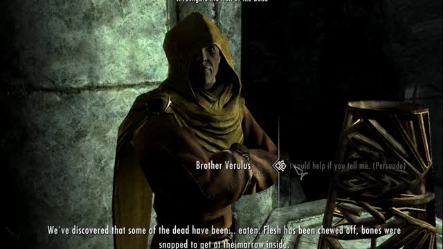 Skyrim is Perfect and has no Bugs again