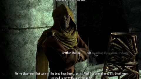 Skyrim is Perfect and has no Bugs again