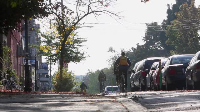 Fresh Day For Bicycles Walk Near Moving Vehicles