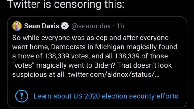 Good Video Documenting Election Fraud