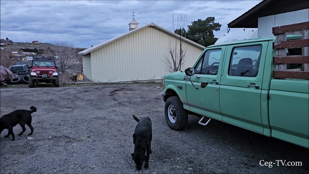 Graham Family Farm: From Pretty to Pretty Yucky