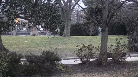 0679USCG00SEDriveExit_2021-01-06_07h16min38s270ms.mp4