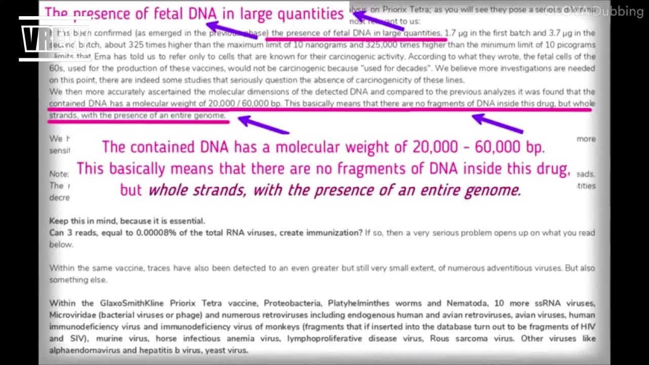 백신에 첨가된 독극물들