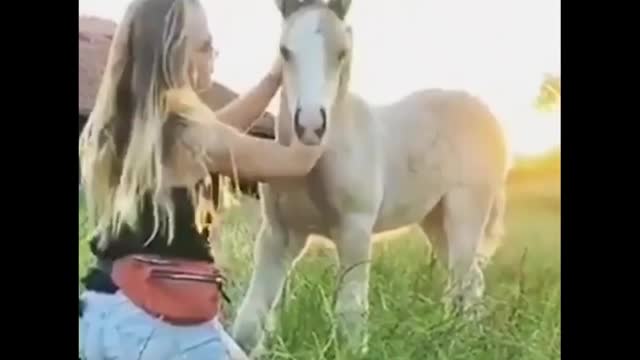 Cute Horses & their Funny moments Compilation #4