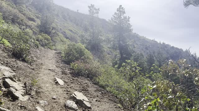 The Start of the Upper Alpine Section of Black Butte Trail – Deschutes – Central Oregon – 4K