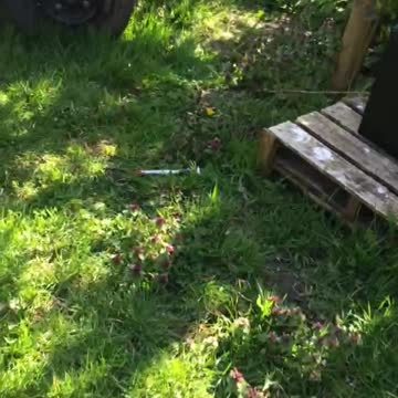 Daily work in Amsterdam 🌃